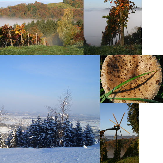 S&uuml;dsteiermark