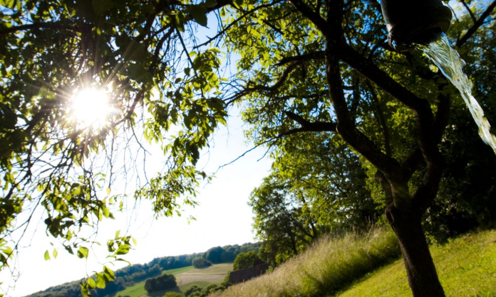 Landschaft Suedoststeiermark