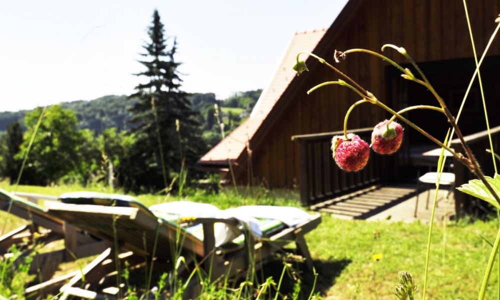 Terrasse Mit Wiese 08