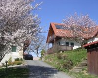 Winzerhof Hoedl Fruehling Leibnitz Aflenz Suedsteiermark 02